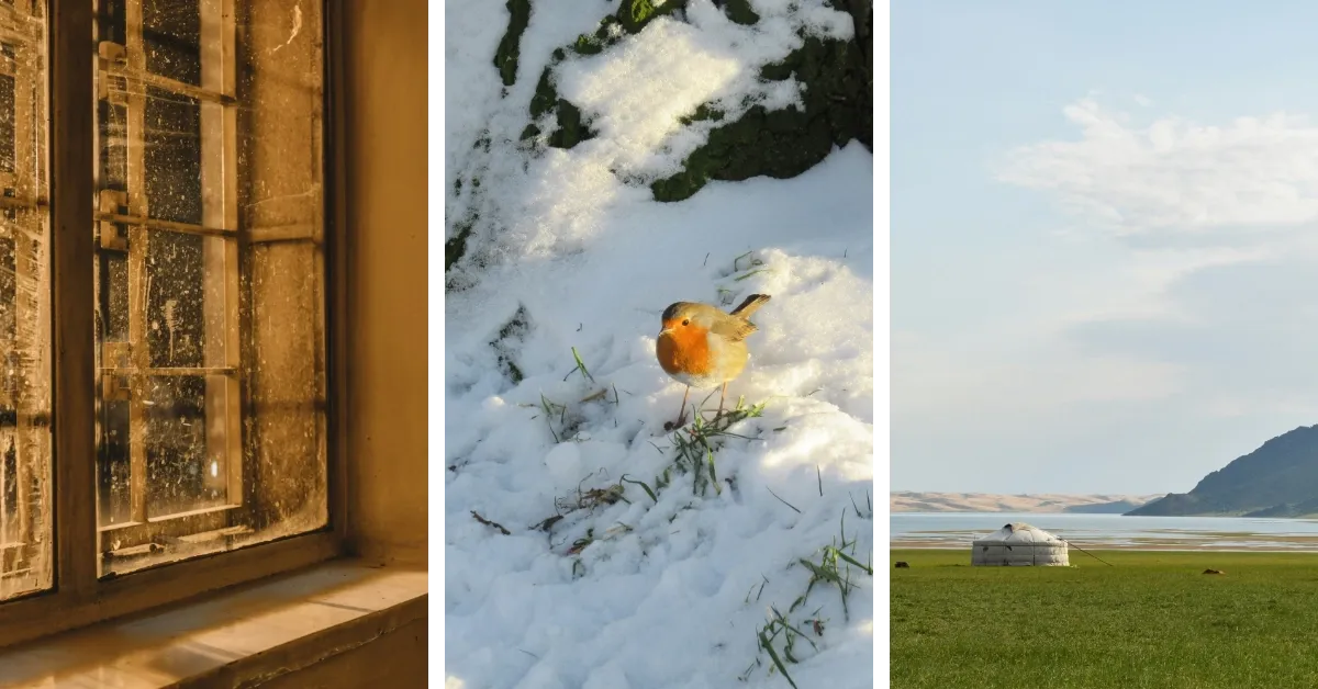 Respect Yazarlık Kulübü Şiir Yarışması Sonuçları Açıklandı