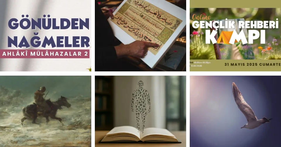 FoR'dan Haberler - Mayıs 2025